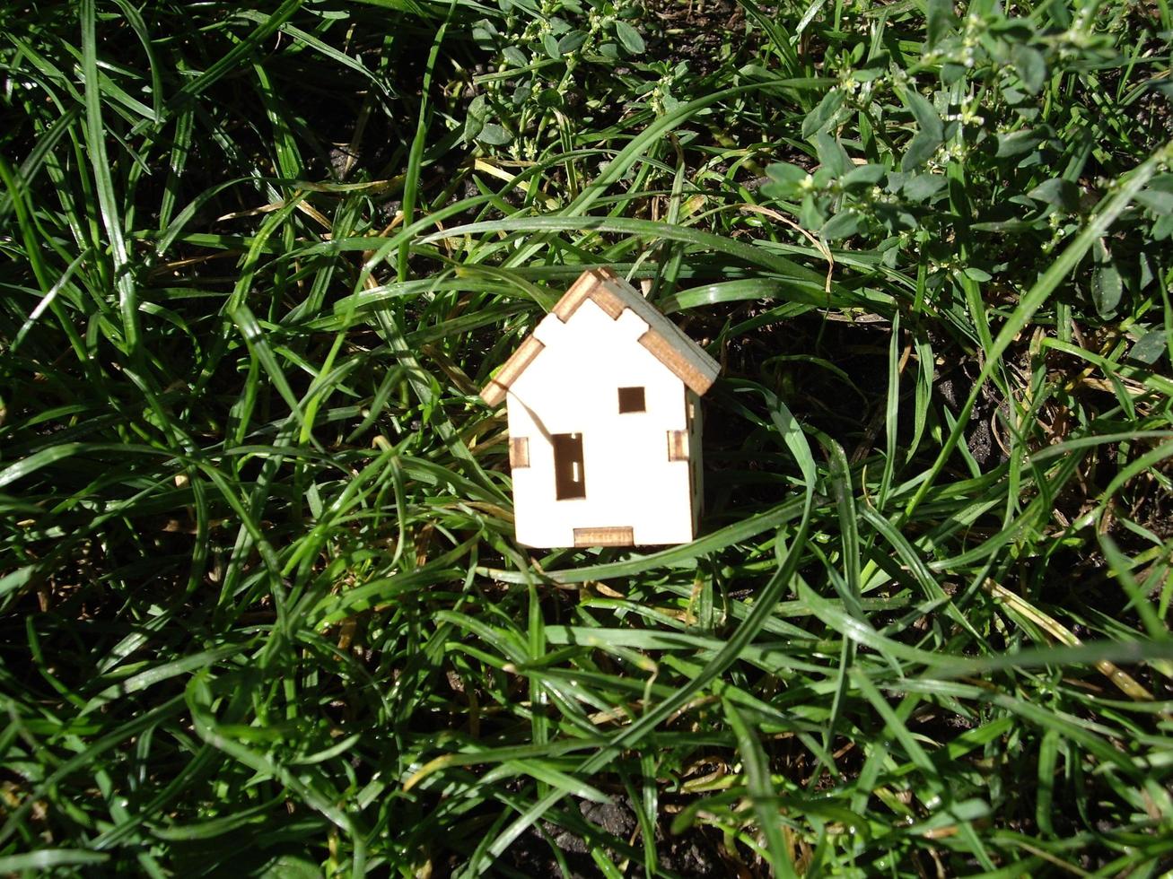 la casa di legno si trova sull'erba verde foto