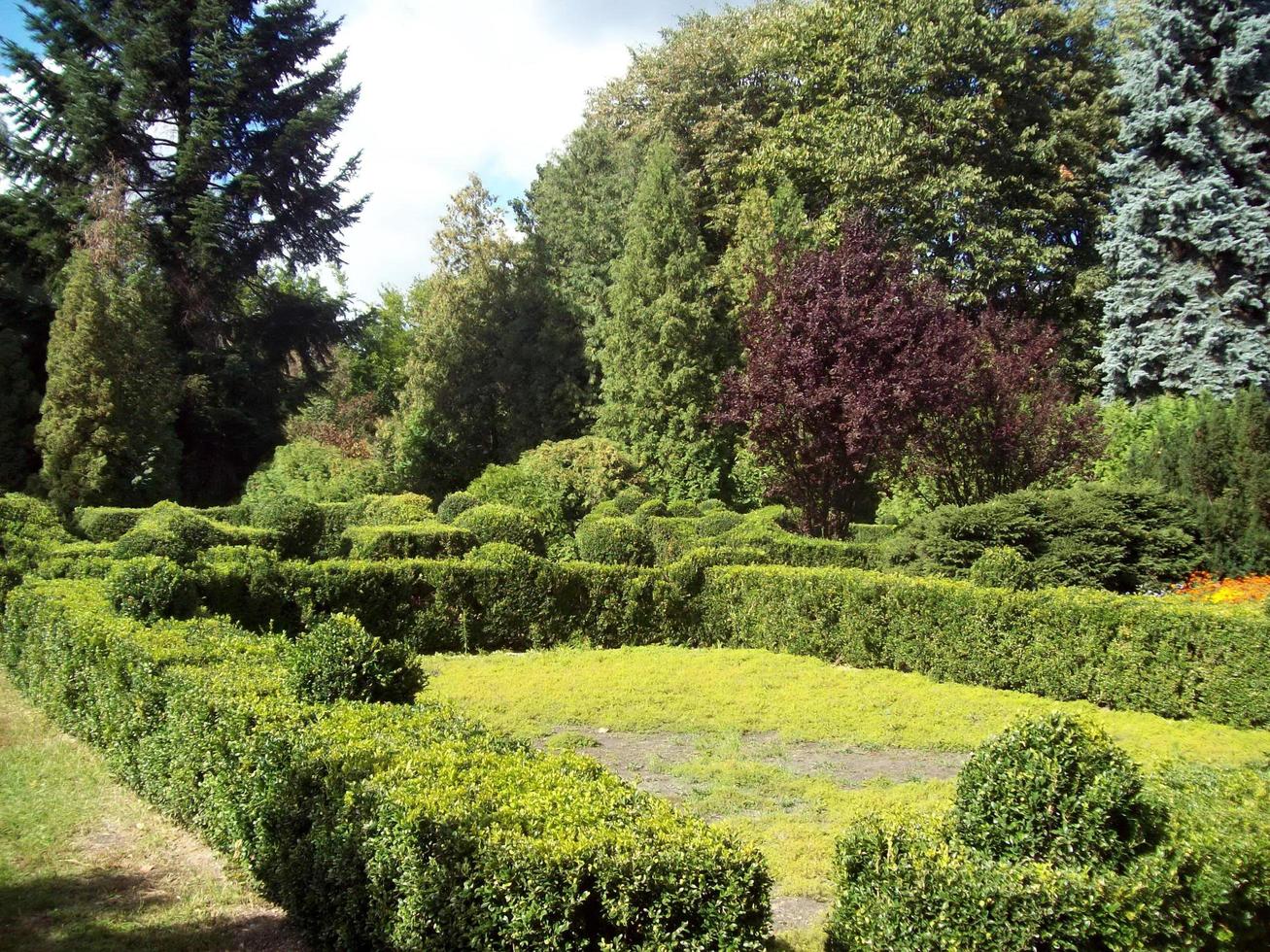 design del giardino di arte del paesaggio del parco foto