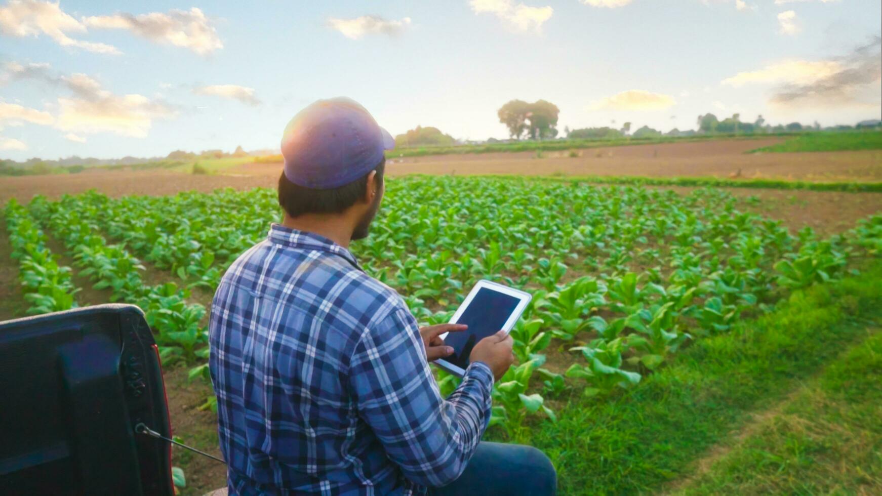 asiatico giovane agricoltori e tabacco agricoltore utilizzare il nucleo dati Rete nel il Internet a partire dal il tavoletta per convalidare, test nel un' tabacco campo. foto