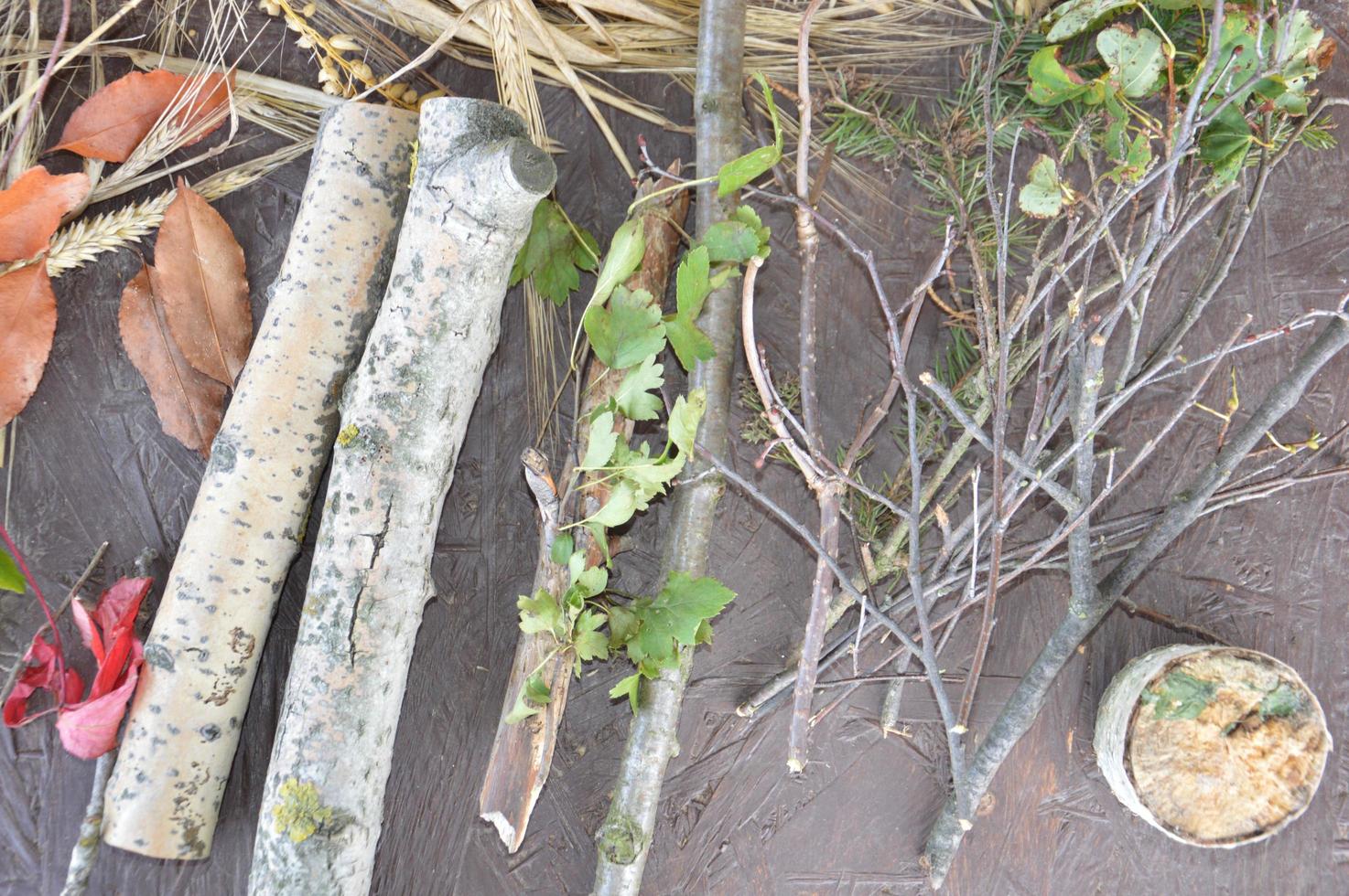 natura morta di frutti di bosco e piante foto