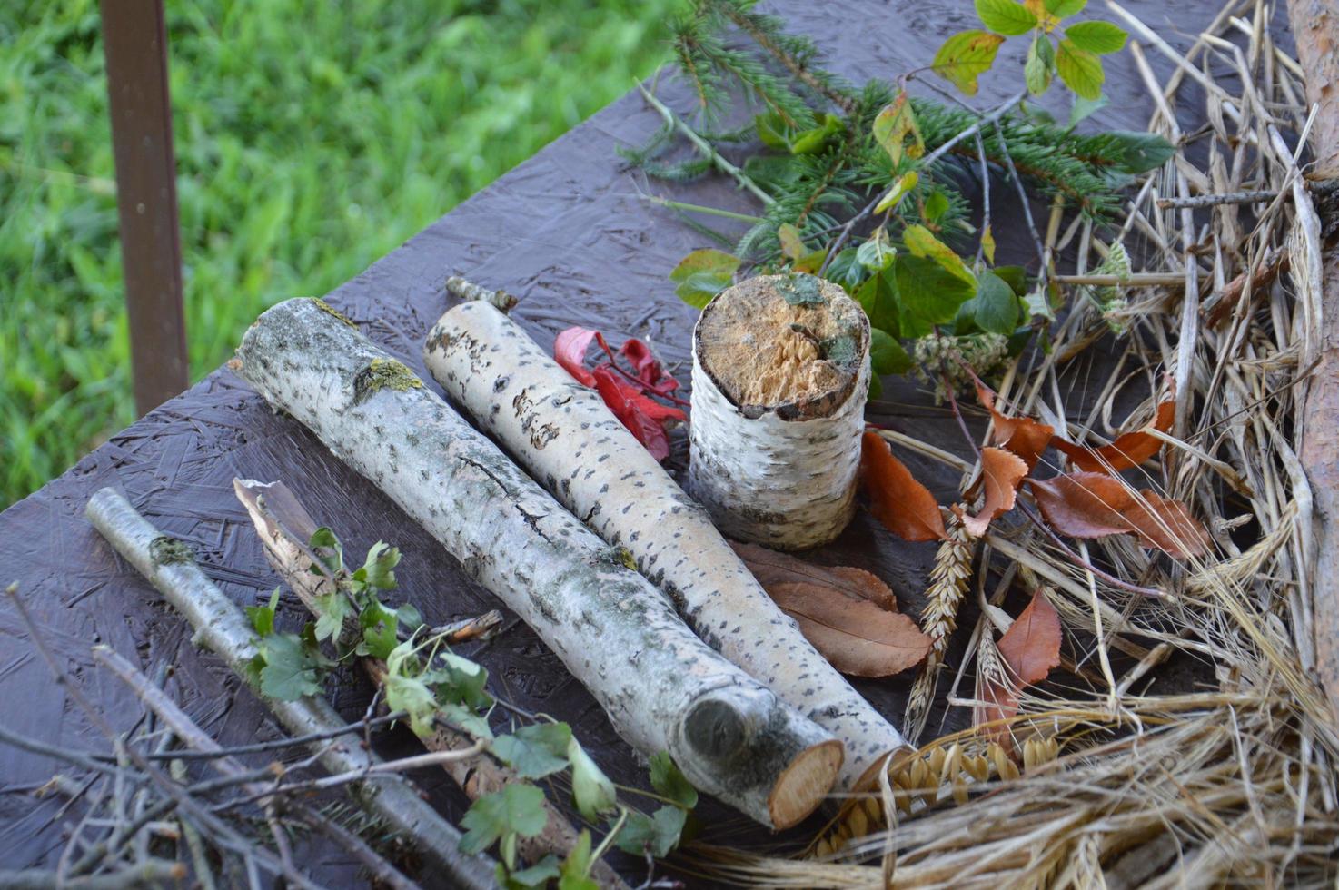 natura morta di frutti di bosco e piante foto