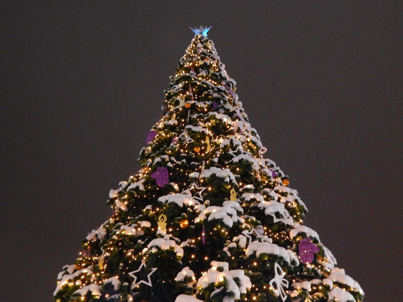 ghirlande e addobbi per le feste di natale e capodanno foto