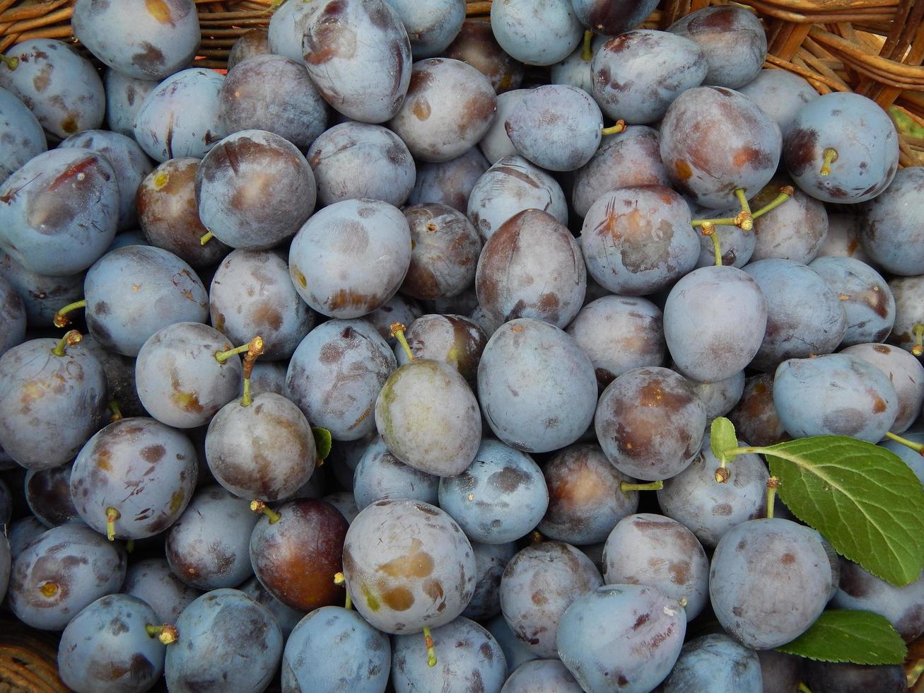 il cibo dell'orto e la verdura fresca foto