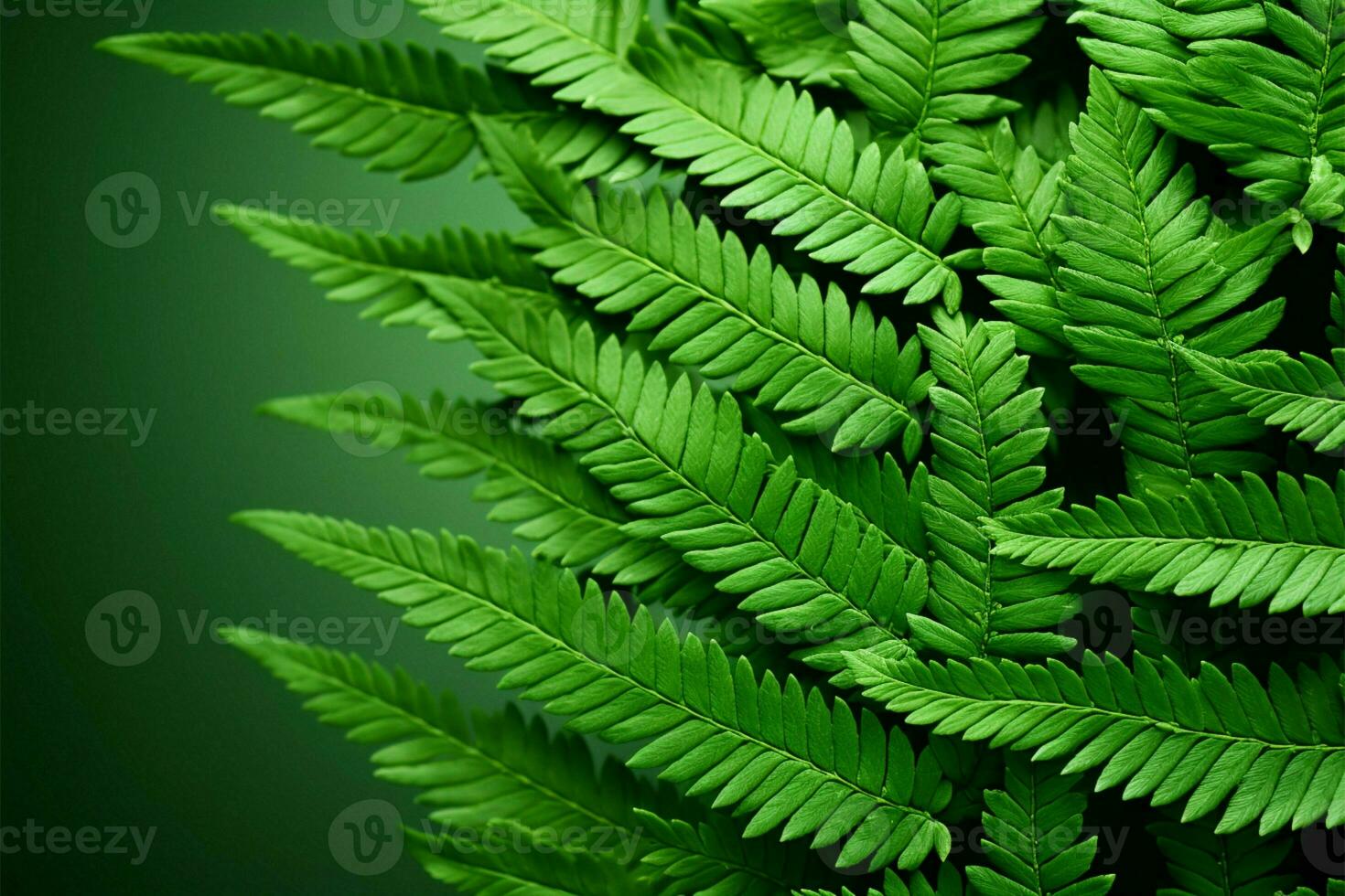 ai generato verde felce le foglie di polypodiopsida pianta, un' tropicale diletto con copyspace foto