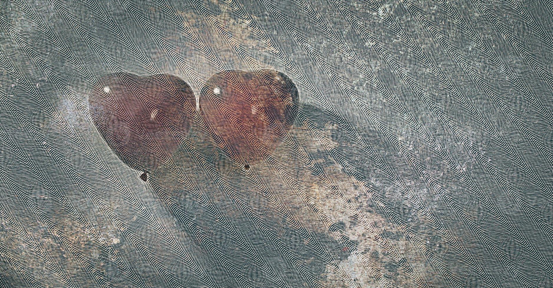 coppia palloncino cuore rosso foto