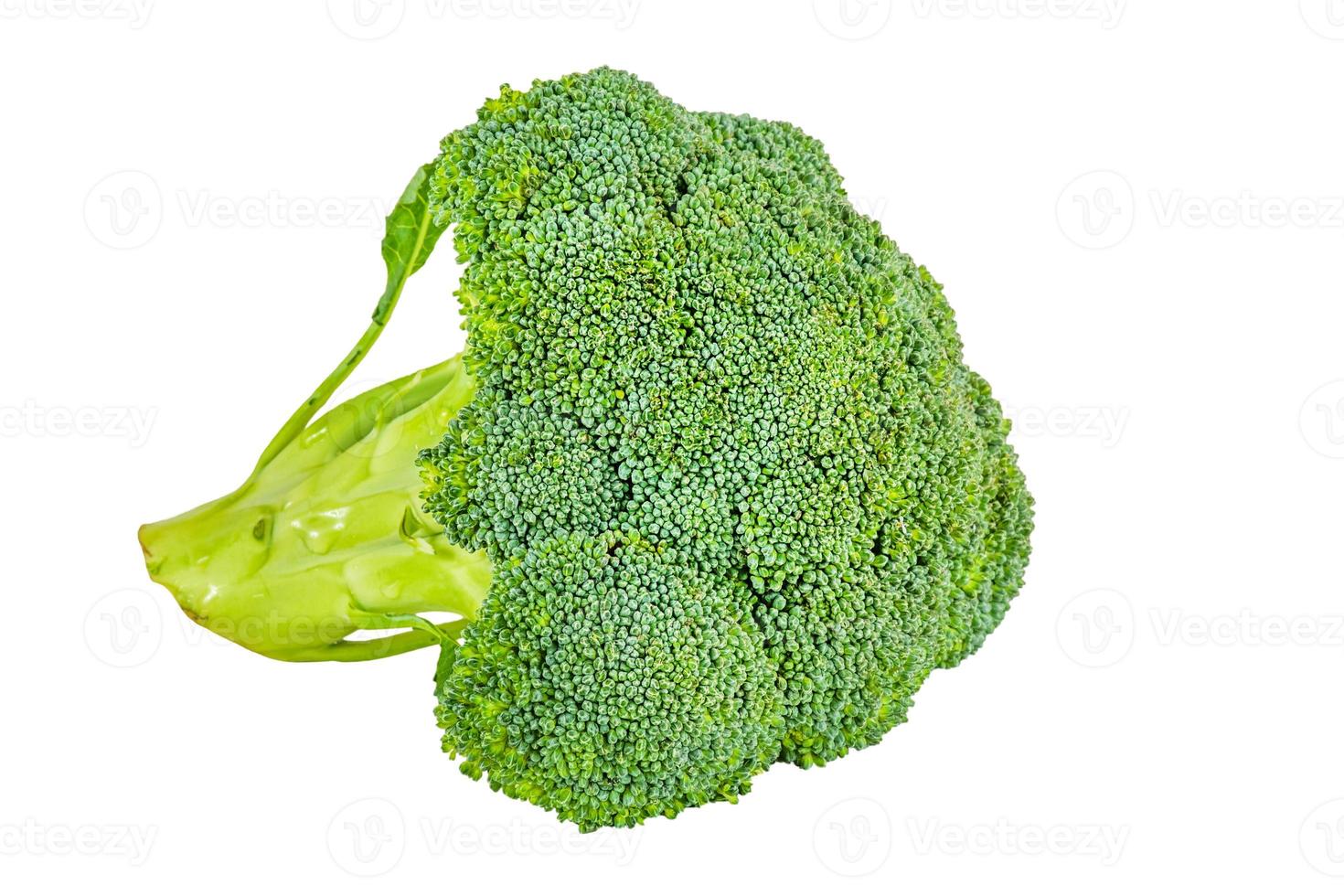 isolato di broccoli. cavolo broccolo isolato su sfondo bianco. foto