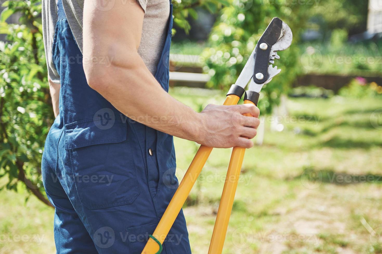 un giardiniere professionista al lavoro taglia alberi da frutto. foto