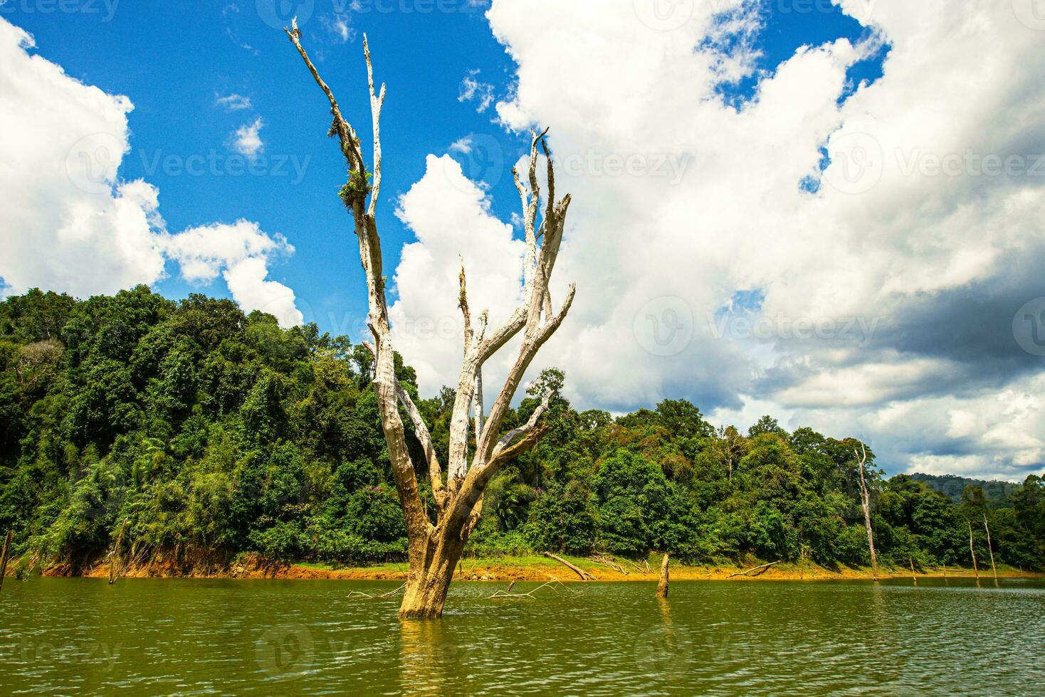 khao sok nazionale parco, surat di me, paesaggio montagne con coda lunga barca per i viaggiatori, masticare lan lago, ratchaphapha diga, viaggio natura nel Tailandia, Asia estate vacanza viaggio viaggio. foto