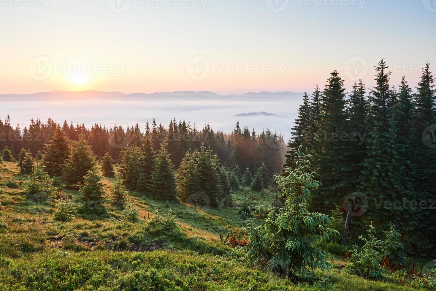 viaggio, trekking. paesaggio estivo - montagne, erba verde, alberi e cielo blu foto