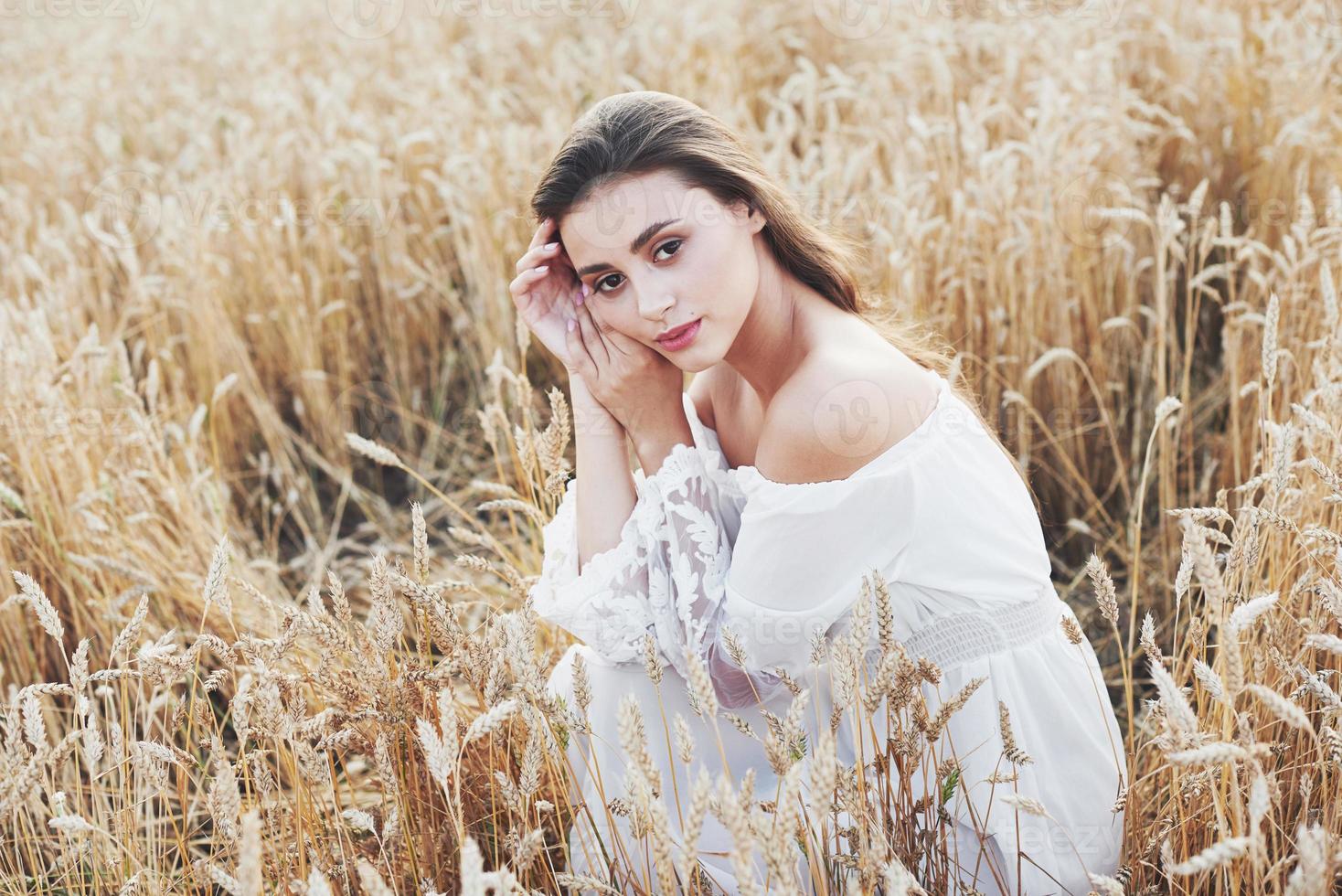 giovane ragazza sensibile in abito bianco in posa in un campo di grano dorato foto