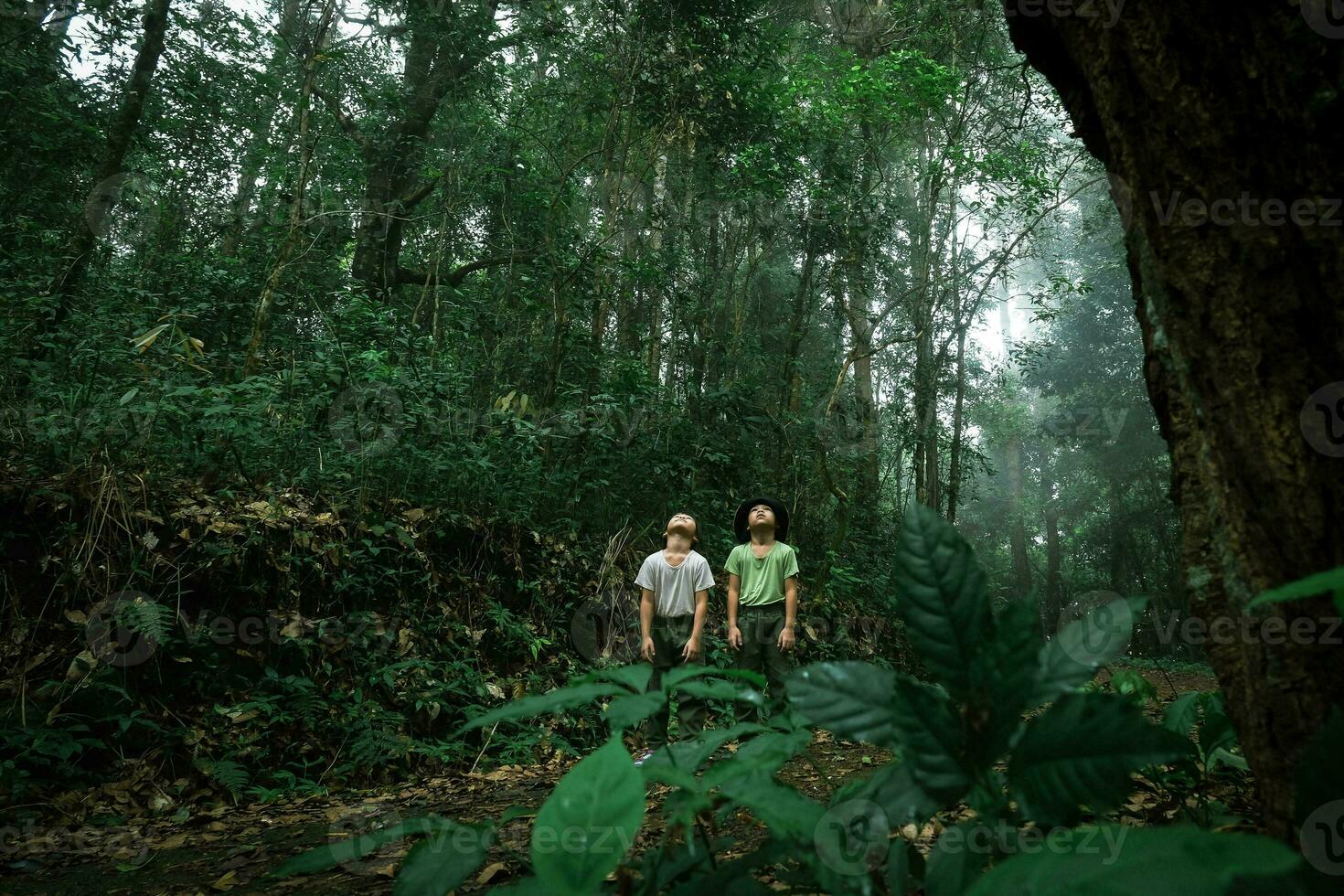 Due contento sorelle escursioni a piedi nel il montagne su un' bellissimo inverno mattina. famiglia su un' escursioni a piedi avventura attraverso il foresta. famiglia la spesa tempo insieme su vacanza. foto