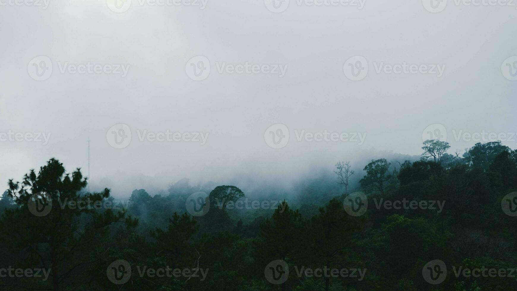 aereo Visualizza di tropicale foresta con nebbia nel il mattina. superiore Visualizza a partire dal fuco di bellissimo montagna tropicale foresta durante inverno nel Tailandia. naturale paesaggio sfondo. foto
