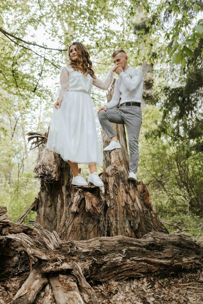 nozze camminare nel il foresta. il sposo detiene il della sposa mano e essi In piedi su un' grande albero ceppo. verticale foto