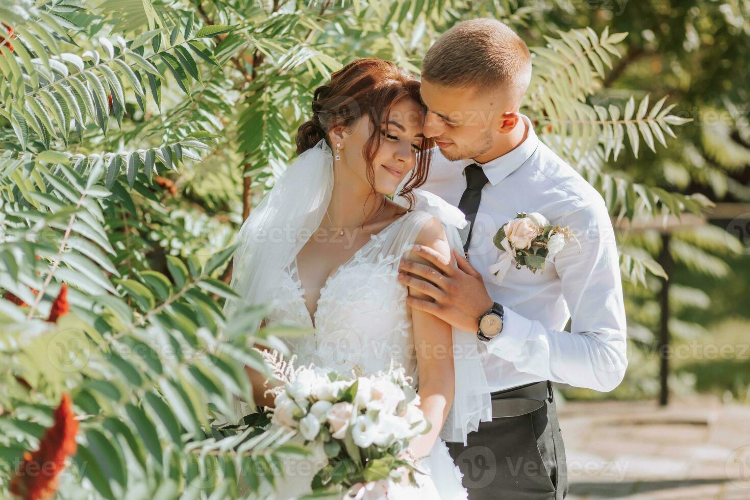 ritratto di il sposa e sposo nel il parco, il sposa e sposo siamo abbracciare e teneramente baciare. nozze camminare nel il parco. lungo treno di il vestito foto