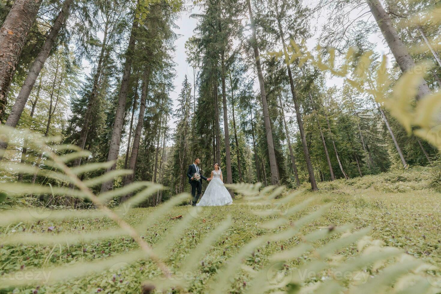 alla moda sposo e carino sposa nel bianca vestito con treno e corona su testa a piedi felicemente nel parco, giardino, foresta all'aperto. nozze fotografia, ritratto di sorridente Novelli sposi. foto