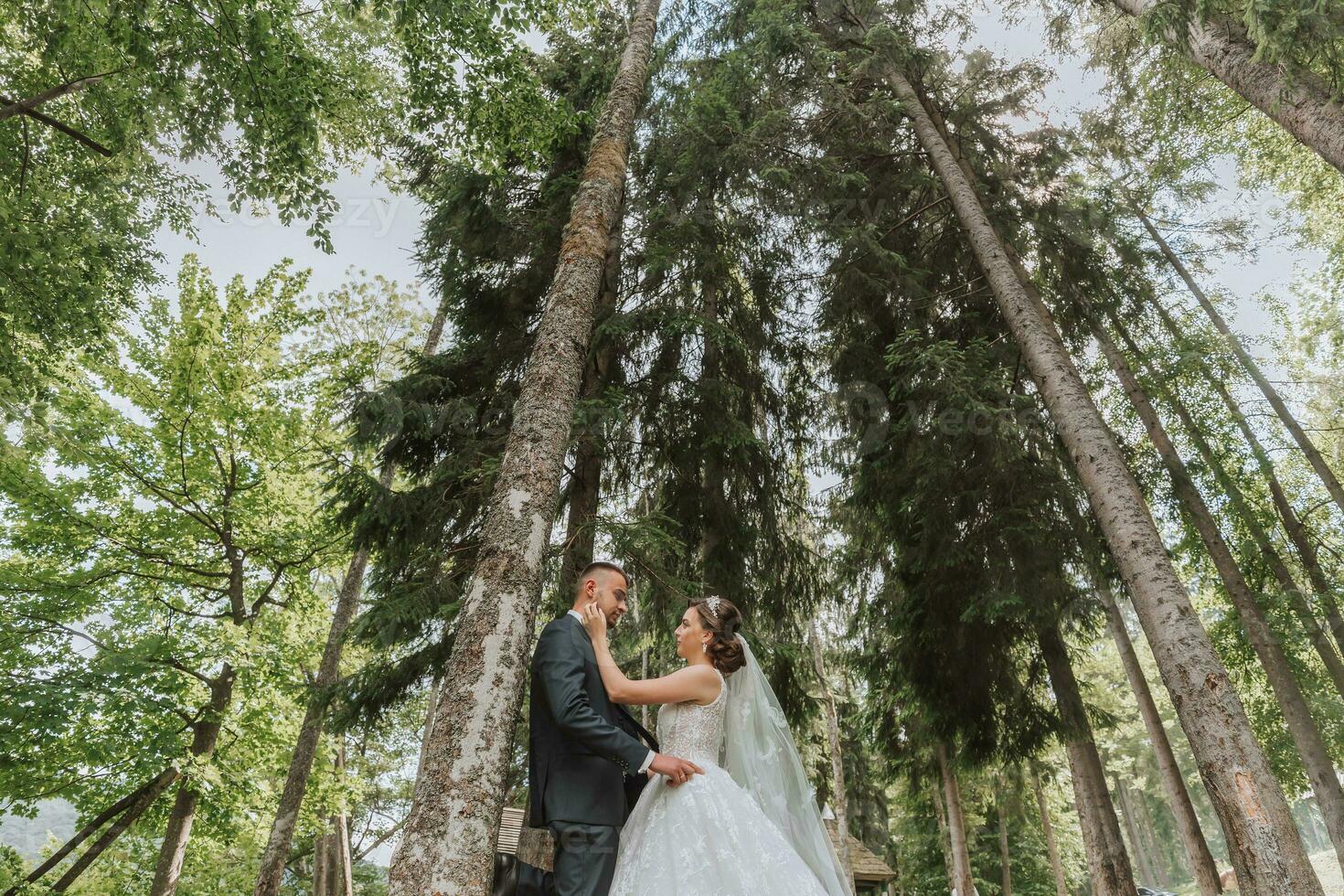 un' nozze coppia è godendo il migliore giorno di loro vite contro il fondale di alto alberi. ritratto di spose nel amore nel natura foto