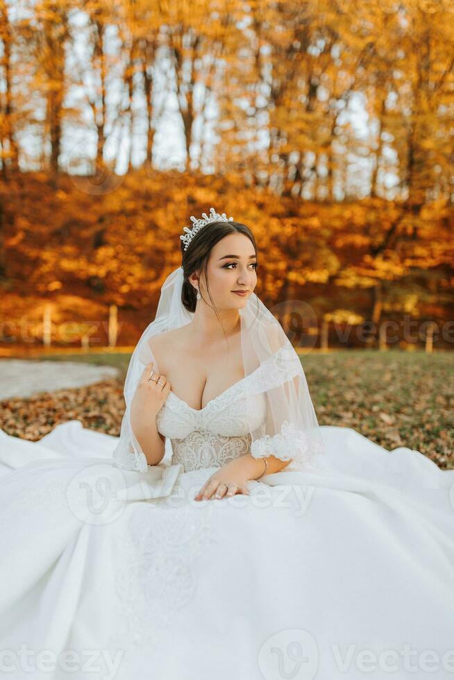 un' bellissimo sposa è seduta su il erba vicino il autunno le foglie di il alberi. nozze ritratto di un' giovane sposa nel un autunno tema. nozze fotografia. foto