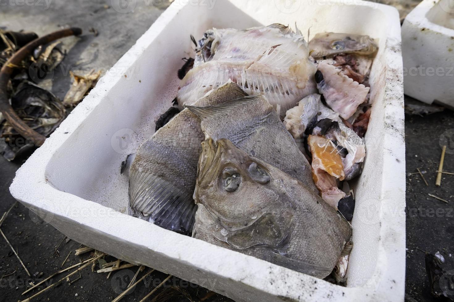 scatola di pesce gettata in strada foto