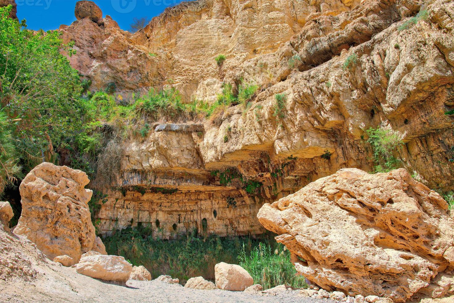 oasi del parco nazionale di ein gedi in israele foto