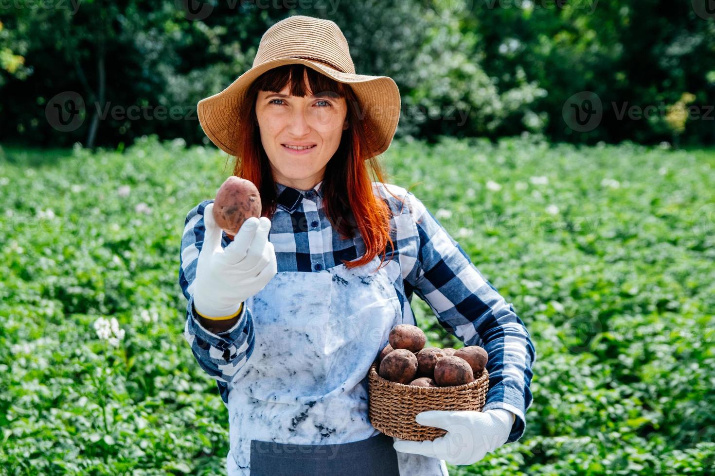 La contadina tiene una patata in un cesto di vimini che indossa un cappello di paglia e circondata da molte piante nel suo orto foto