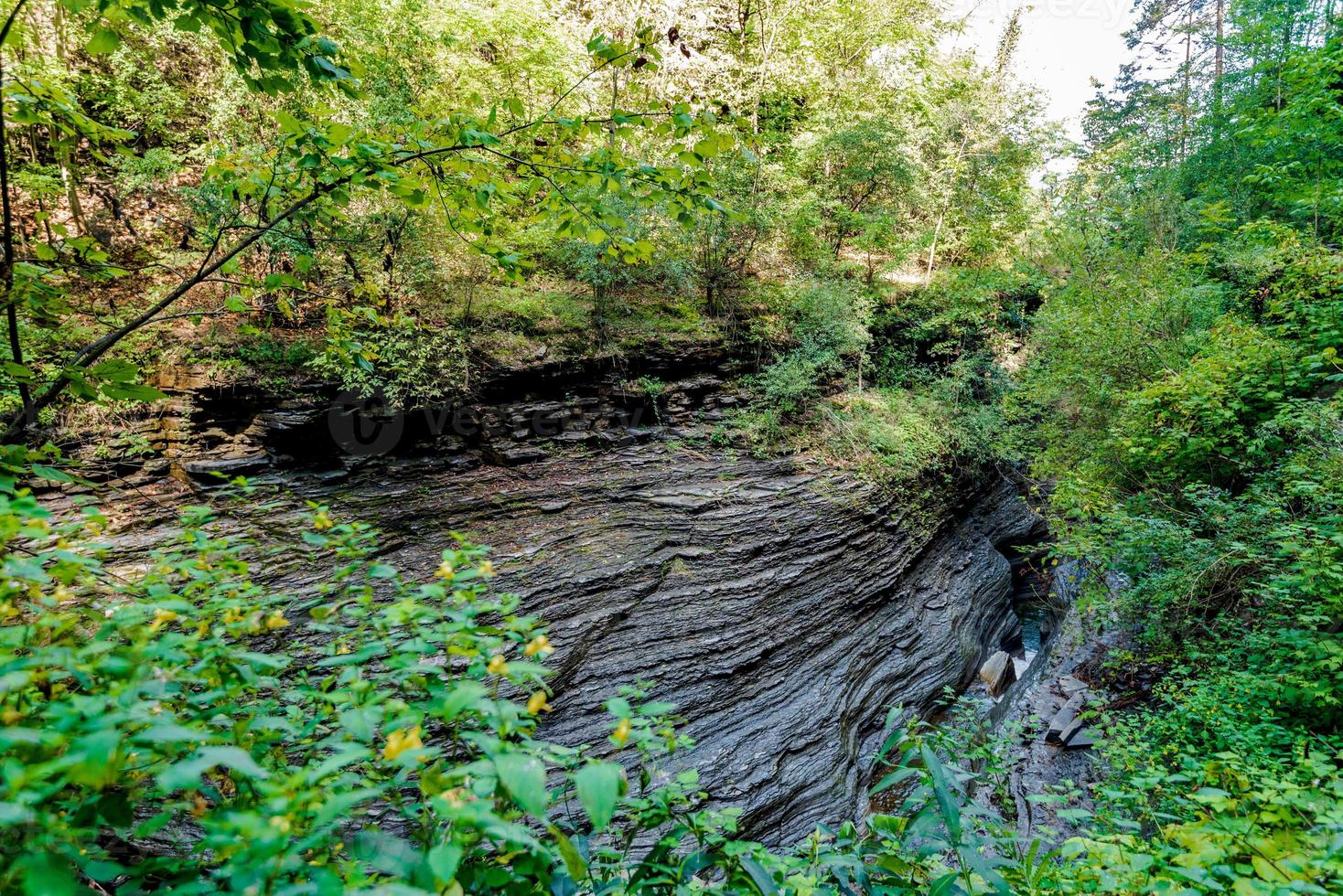 Watkins Glen State Park foto