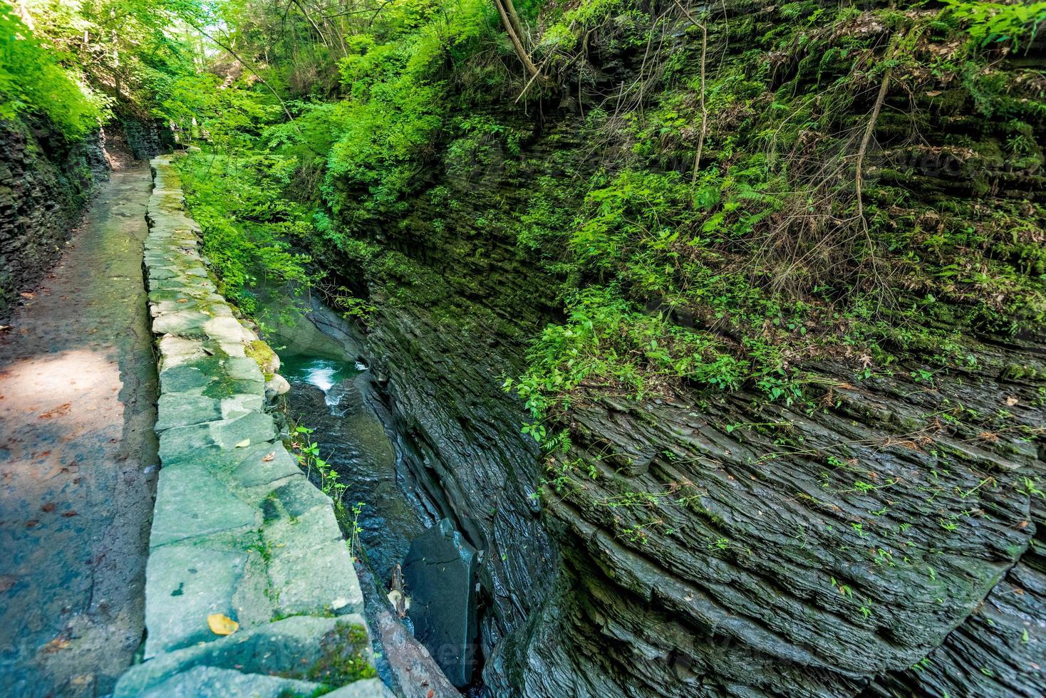 Watkins Glen State Park foto