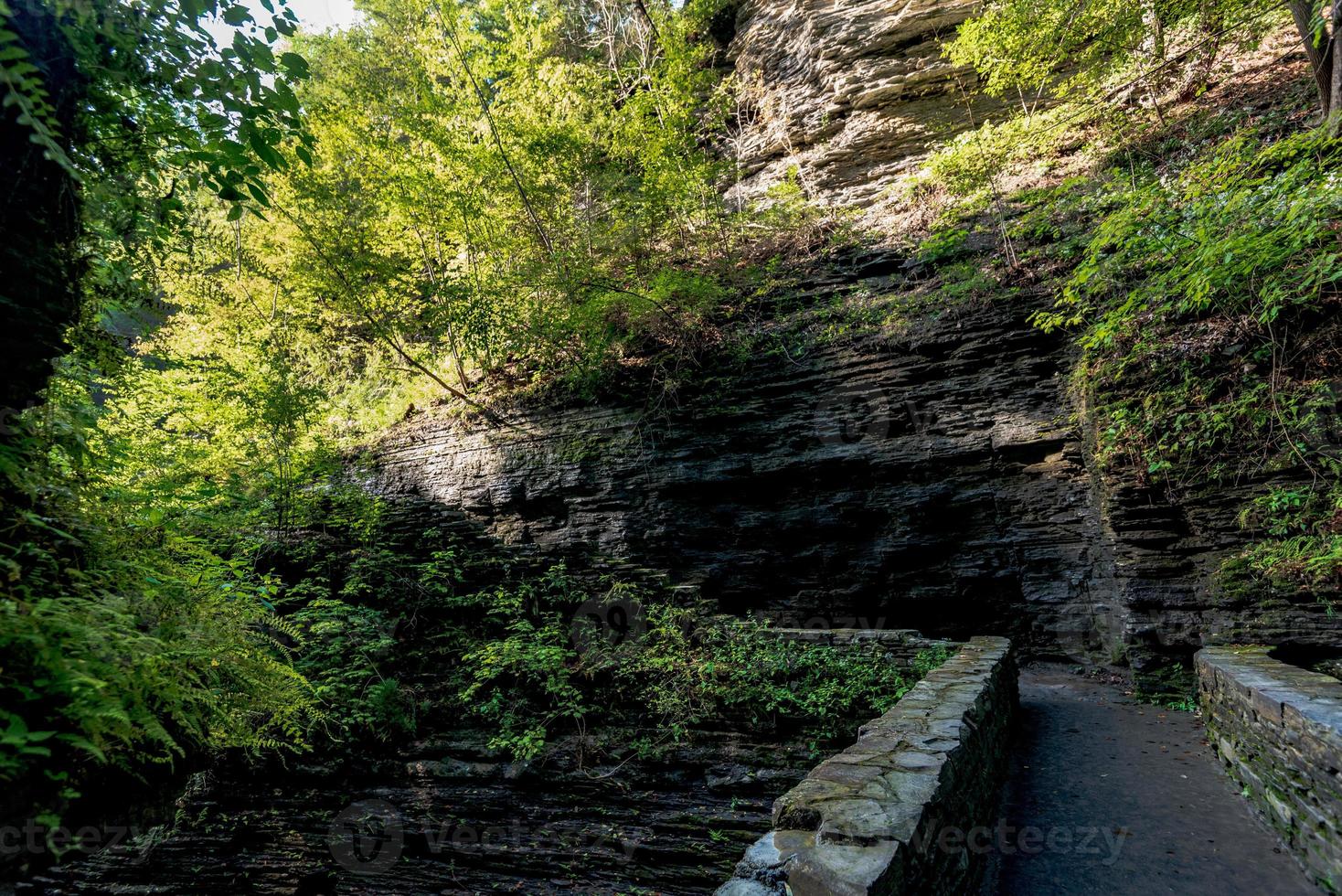 Watkins Glen State Park foto