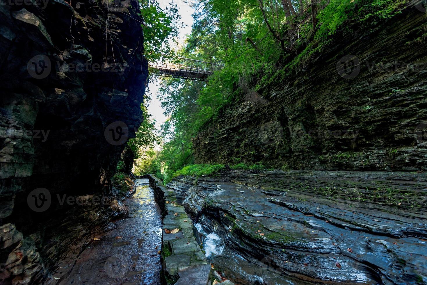 Watkins Glen State Park foto