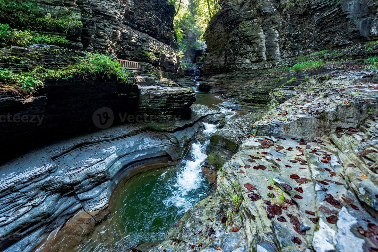 Watkins Glen State Park foto