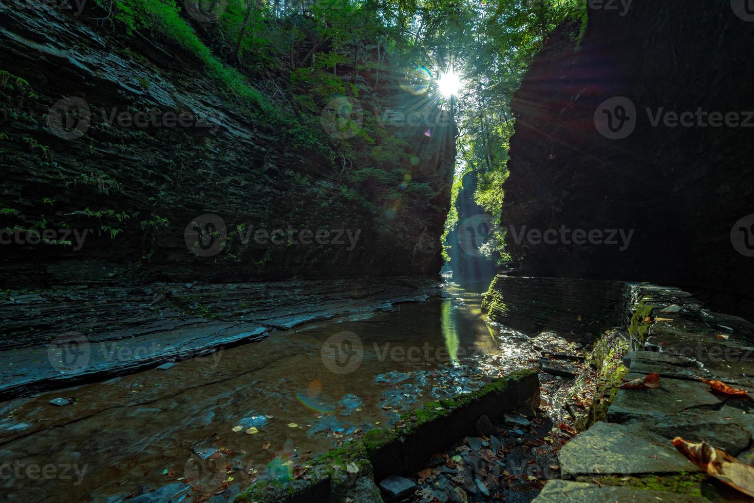 Watkins Glen State Park foto