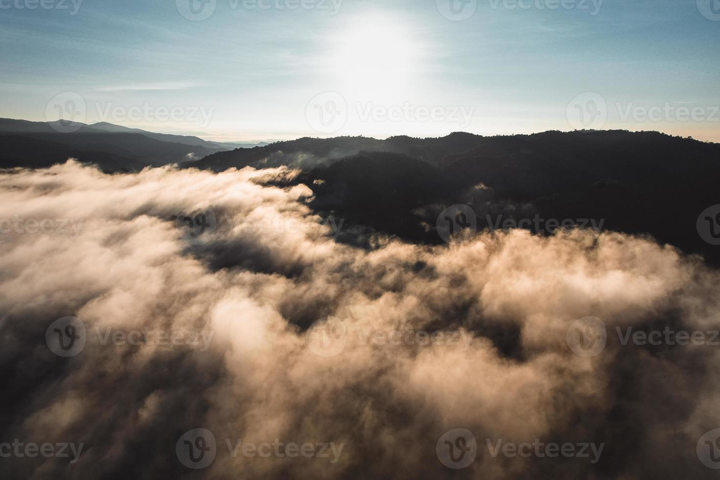 nebbia mattutina nella foresta dall'alto foto