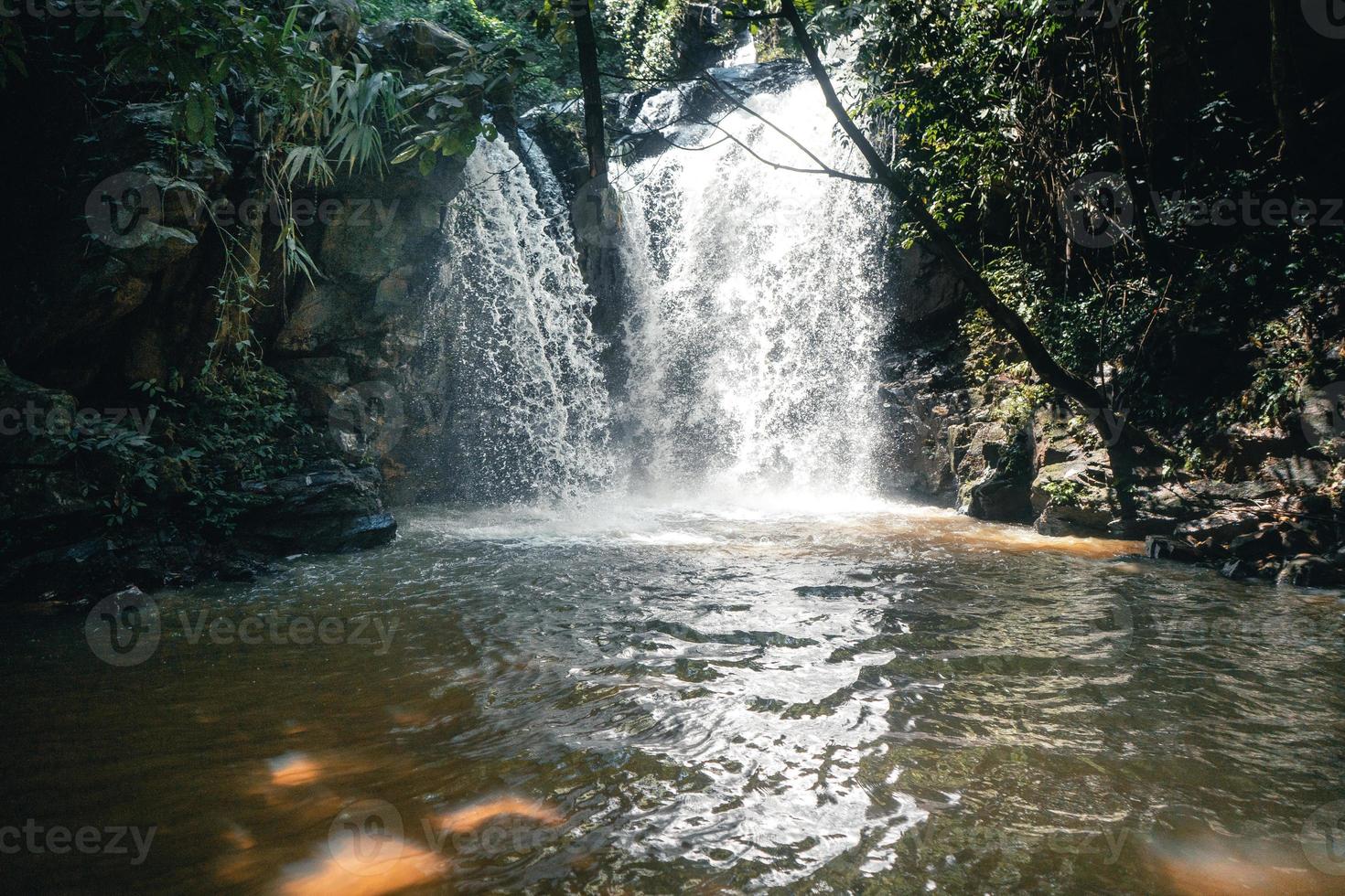 cascata in una foresta tropicale durante il giorno foto
