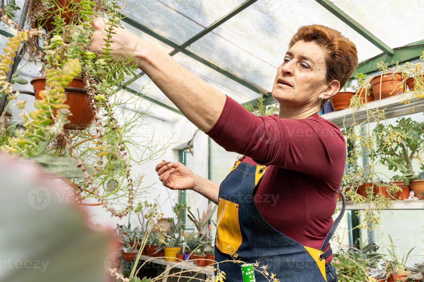 donna che esamina le sue piante verdi foto