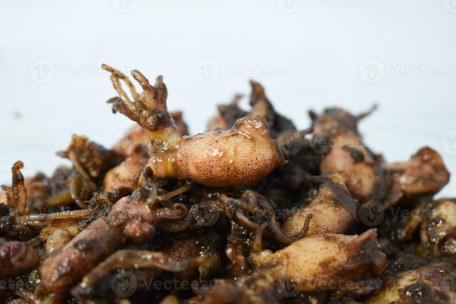 vicino su tumis cumi, oseng cumi o agitare fritte calamaro posto su trasparente piatto di bicchiere isolato su bianca sfondo. indonesiano cibo foto