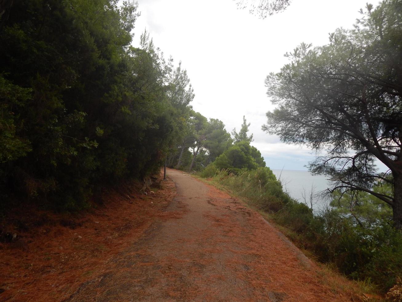 viaggio in montenegro, mare adriatico, paesaggi foto