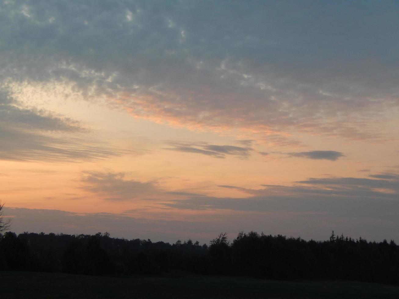 tramonto sulla natura foresta e campi al tramonto foto