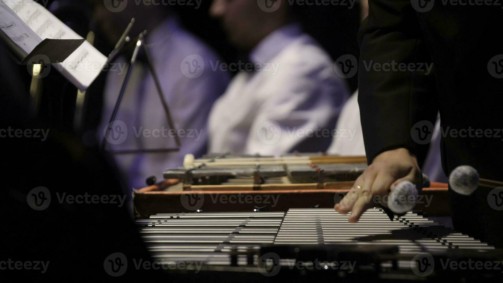 vicino su di il musicista giocando su xilofono. xilofono, musica e cromatico strumento concetto - avvicinamento su di legno barre con quattro mazze nel umano mani, esecutore nel nero vestire, glockenspiel foto