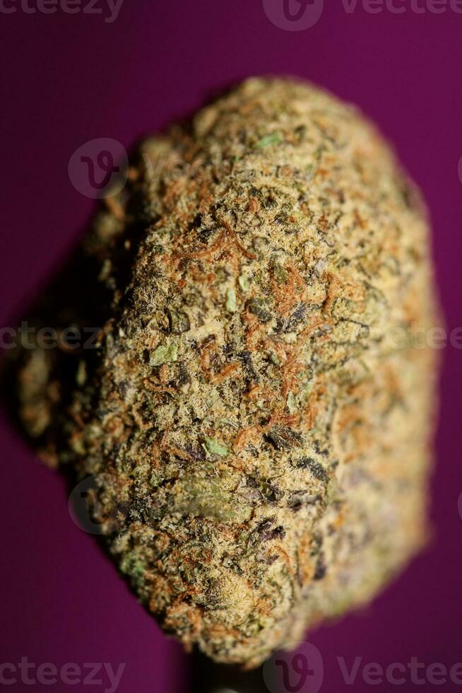 vicino su di cali sorprendente massiccio fioritura medico marijuana mini cuffie dettaglio di canapa su viola sfondi grande dimensione alto qualità immediato stampe foto