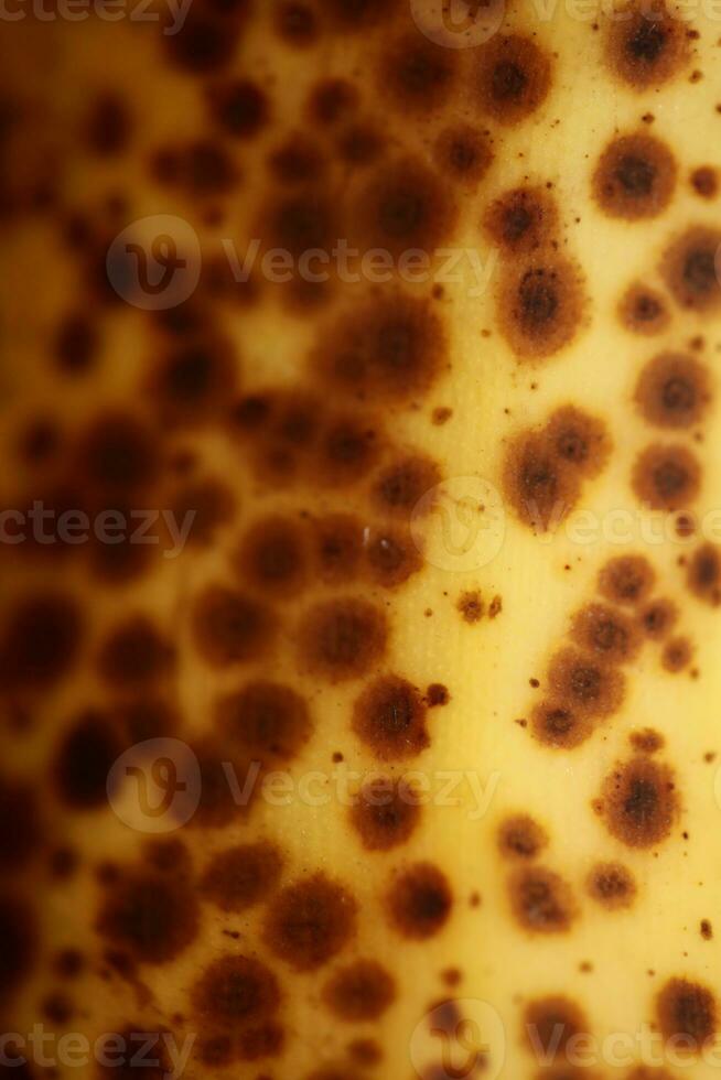 Banana con buio macchie con ombra isolato vicino su macro botanico cibo porno sfondi selettivo messa a fuoco grande dimensione alto qualità immediato stampe foto