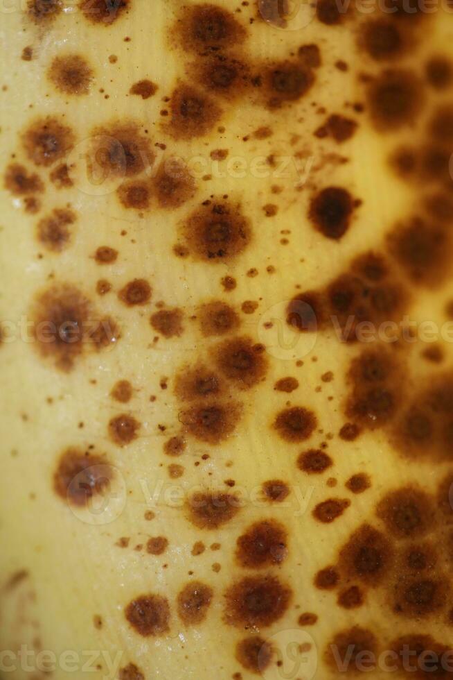 Banana con buio macchie con ombra isolato vicino su macro botanico cibo porno sfondi selettivo messa a fuoco grande dimensione alto qualità immediato stampe foto