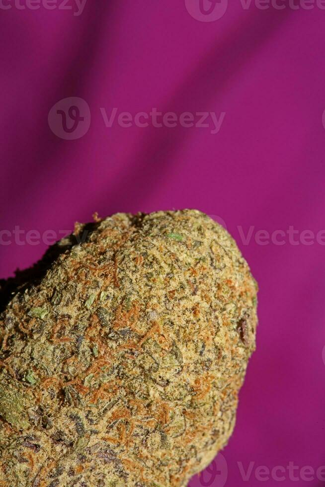 vicino su di cali sorprendente massiccio fioritura medico marijuana mini cuffie dettaglio di canapa su viola sfondi grande dimensione alto qualità immediato stampe foto