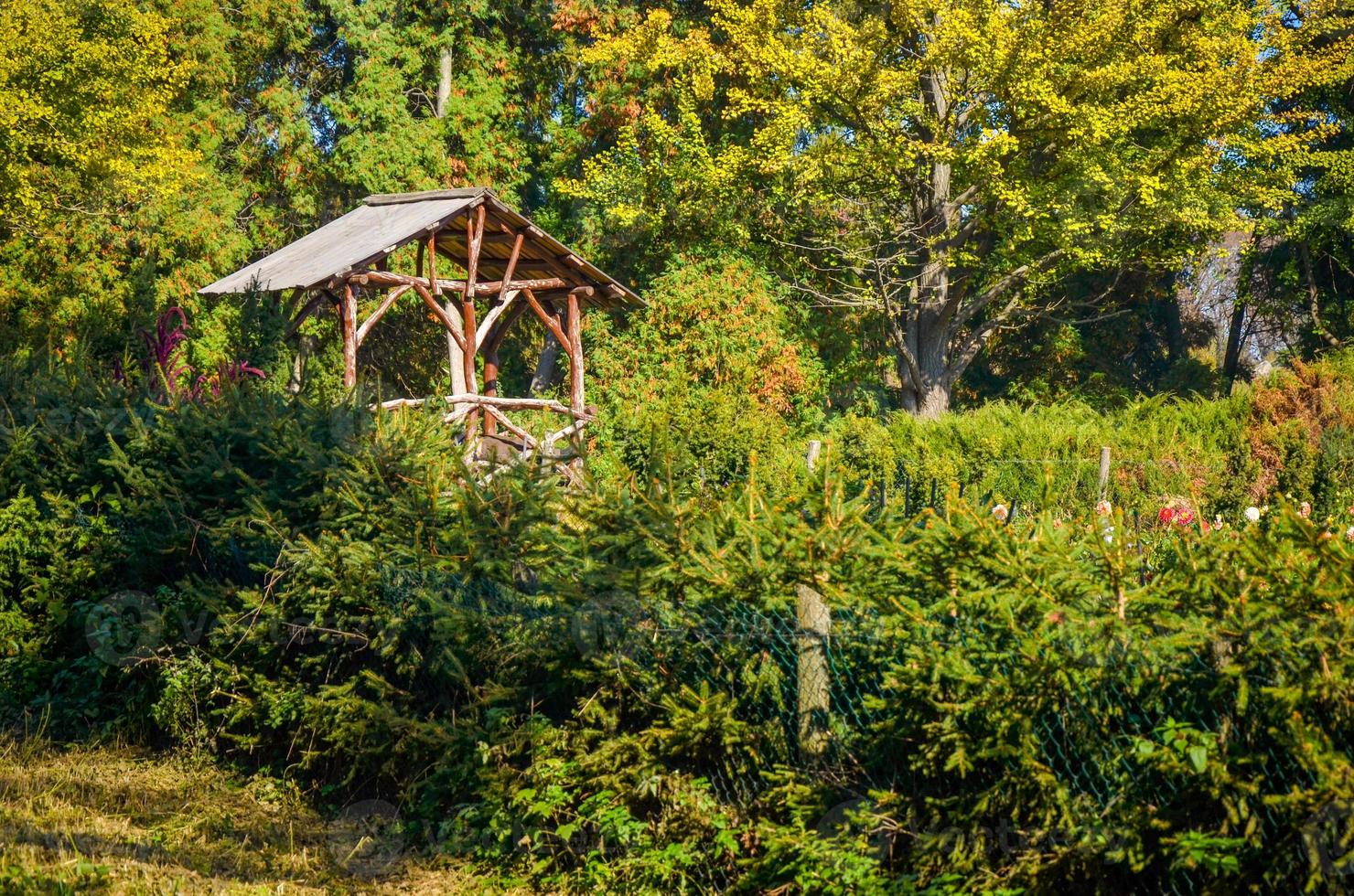 pergolato nel parco autunnale con alberi colorati foto