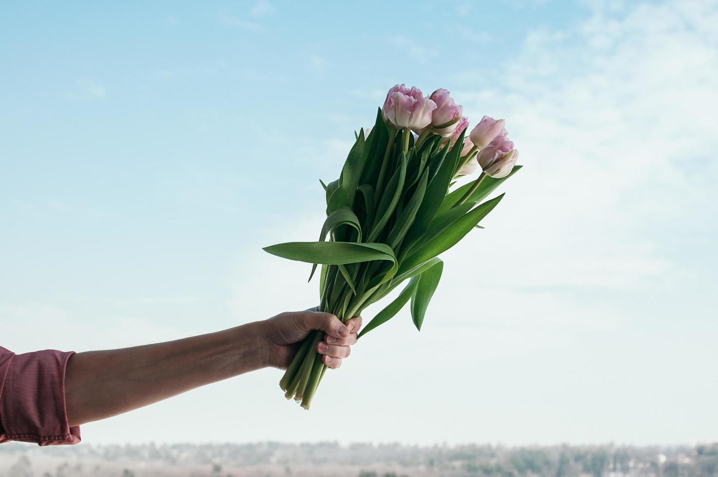 bouquet di fiori di tulipano rosa in mano maschile sullo sfondo del cielo blu foto