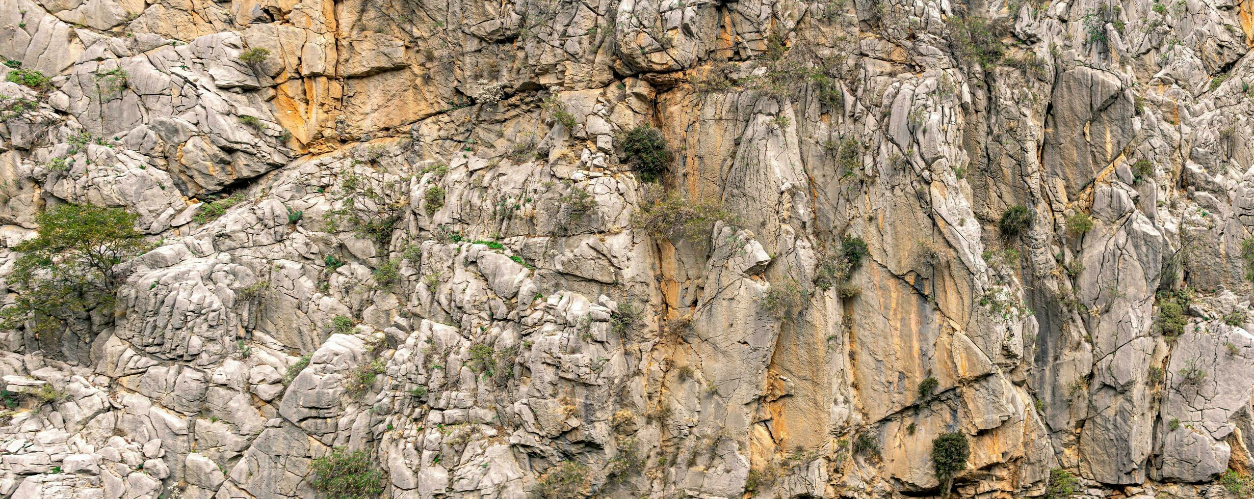 paesaggio, struttura - puro montagna scogliera con crepe e vegetazione foto