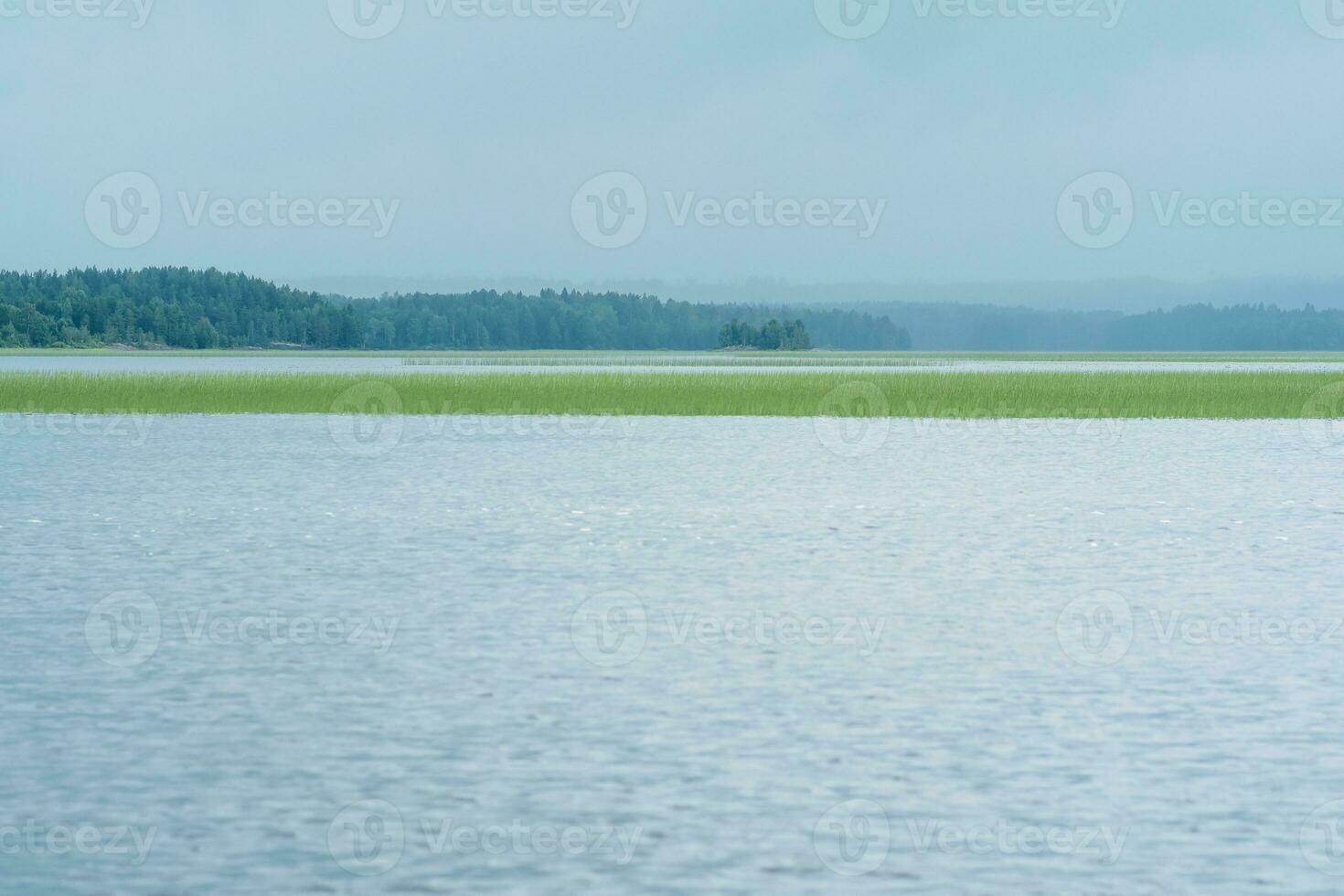 naturale paesaggio, vasto superficiale lago con canna banche su un' piovoso giorno foto