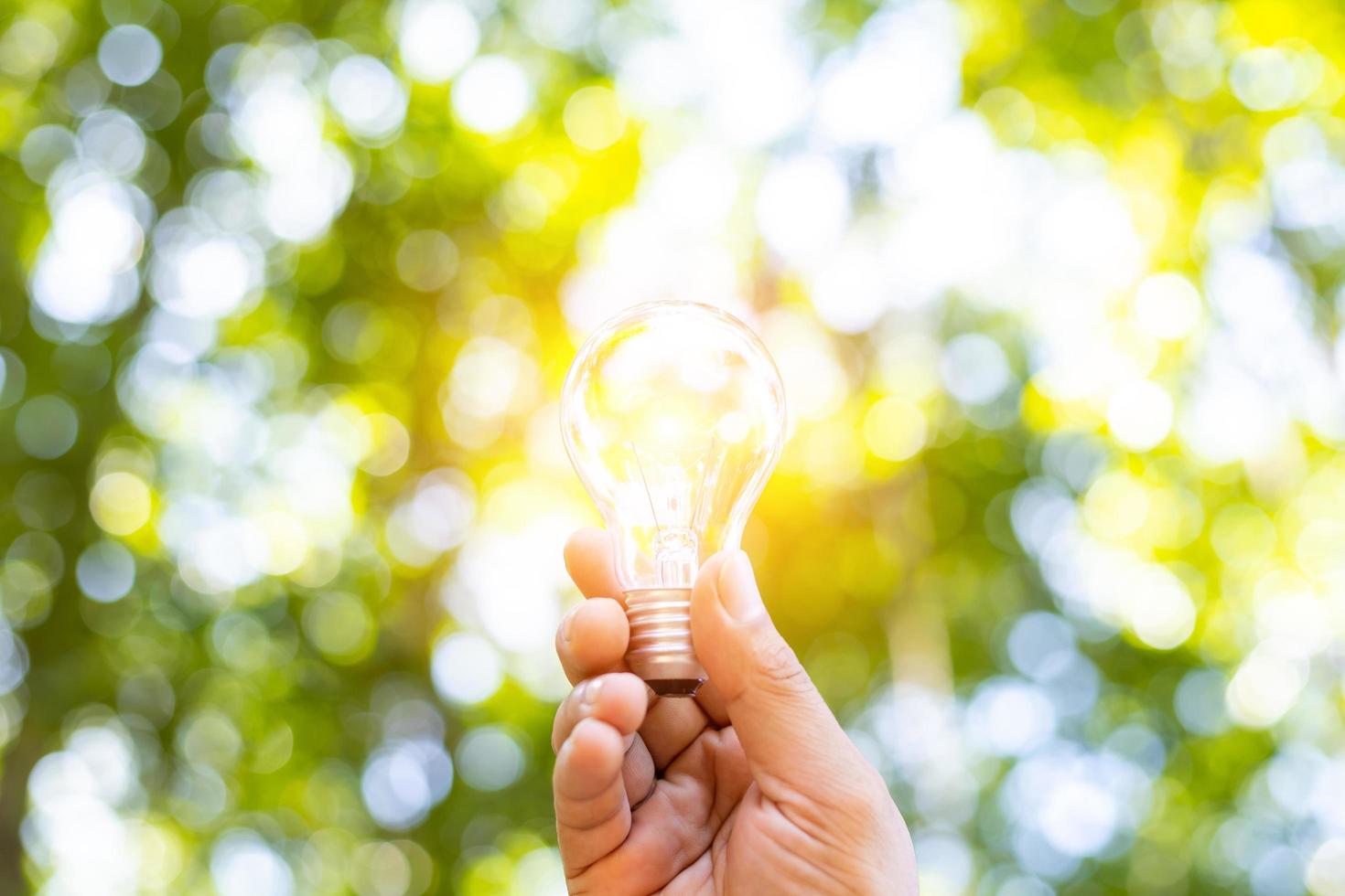 una lampadina che cresce sul concetto di energia in natura e copia spazio. foto