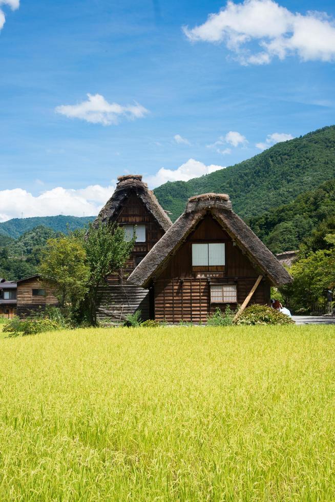 zona rurale in giappone con tradizionali case in legno e risaie. shirakawa go, giappone foto