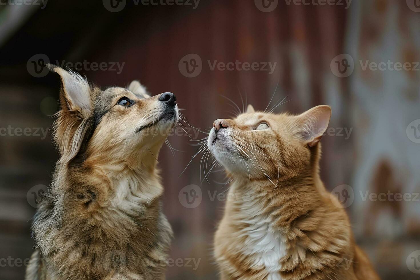 ai generato attento cane e gatto guardare su nel stesso direzione foto