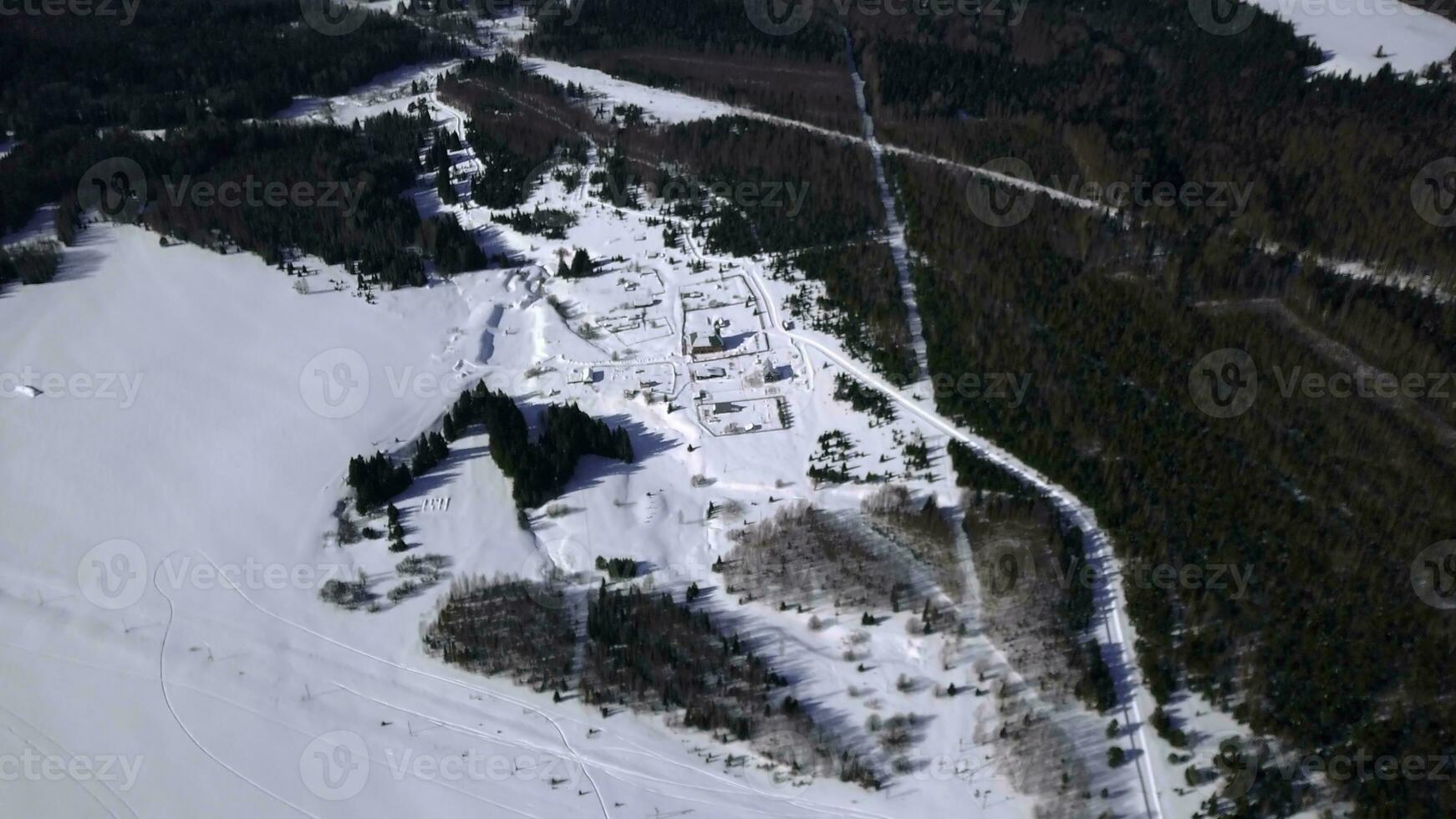 aereo inverno paesaggio con un' neve coperto campo e in crescita pino alberi. clip. cottage e piccolo case circondato di neve deserto. foto