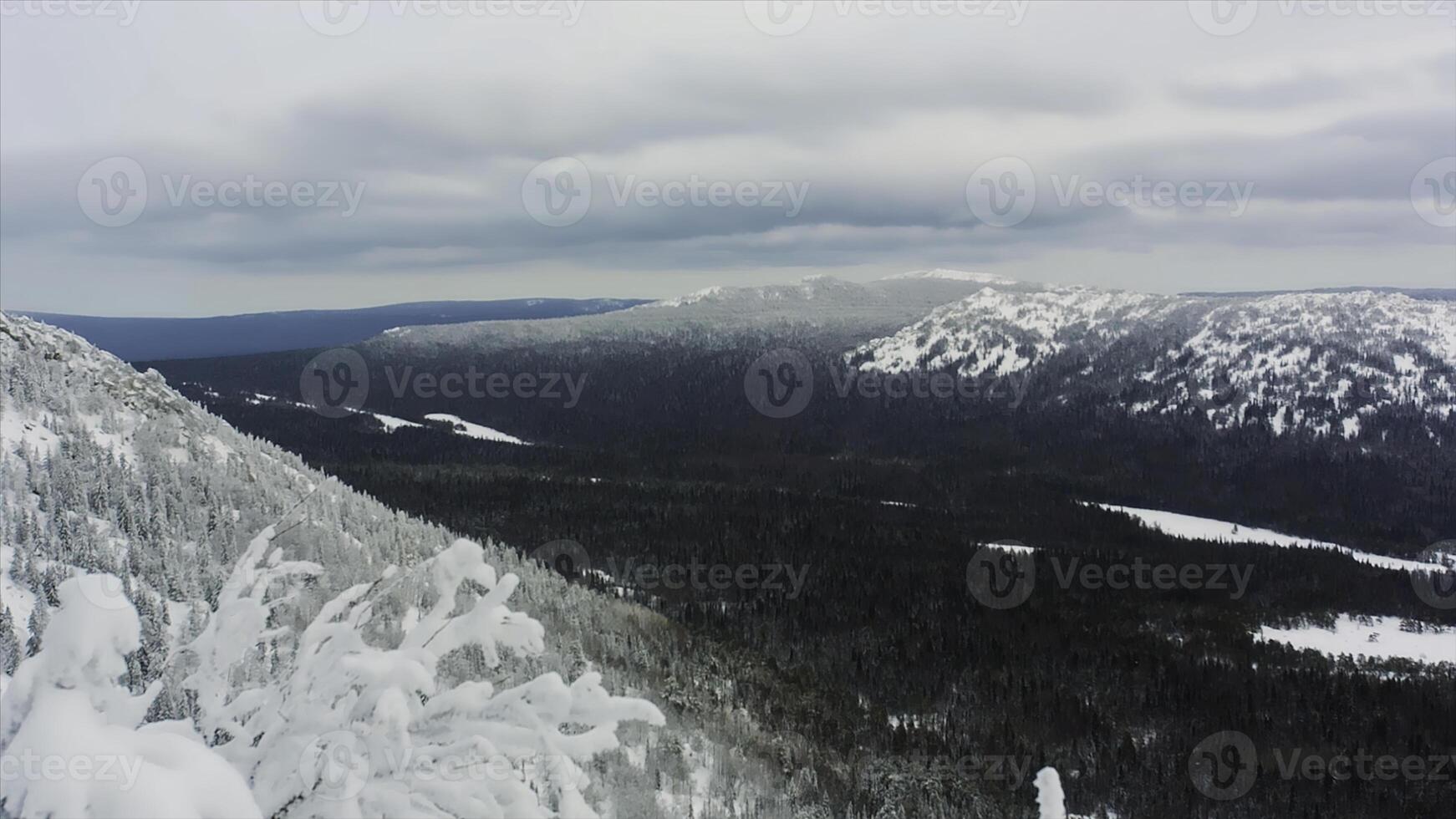 Visualizza verso il neve coperto picco sopra il valle. albero rami nel il primo piano di un' nuvoloso alpino orizzonte. video. aereo, bellissimo alberi sotto il neve nel il Di legno. inverno paesaggio foto